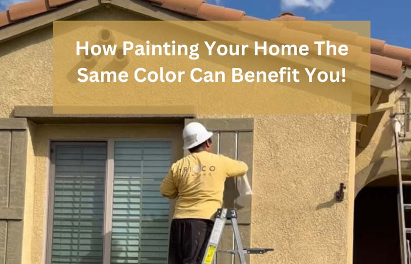 Why Painting Your Home the Same Color Can Benefit Homeowners In HOAs